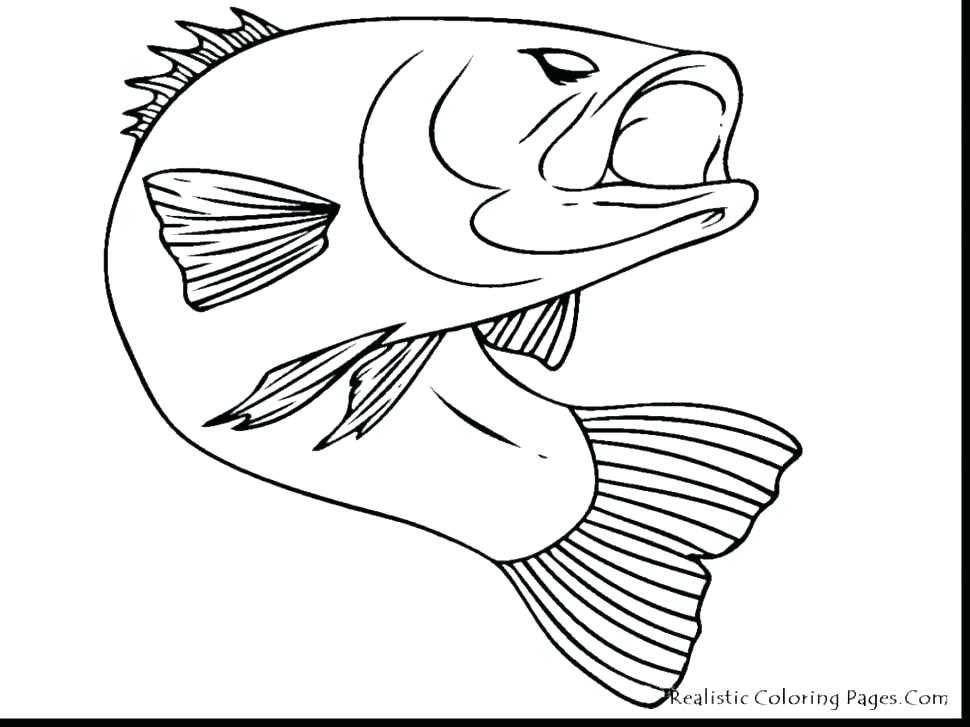 Tropical Coloring Pages Tropical Coloring Pages New Puffer Fish 970x727 Tropical Coloring Pages Tropical Coloring Pages New Puffer Fish