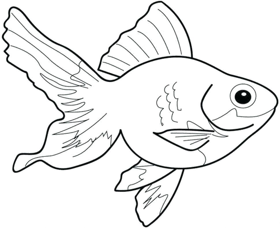 Color Pages Of Fish Fish Coloring Book Together With Color Fish 970x790 Color Pages Of Fish Fish Coloring Book Together With Color Fish