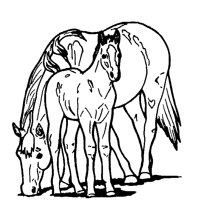 690x705 Realistic Horse Coloring Pages To Print Many Interesting Cliparts