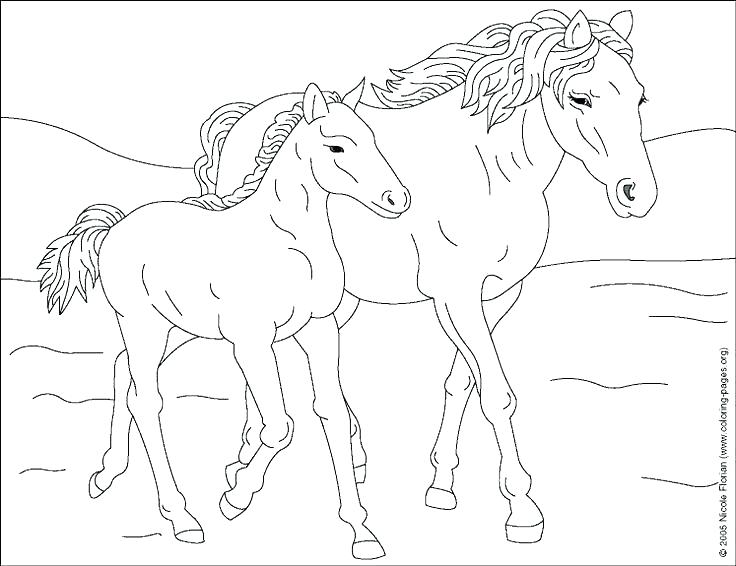 736x566 Horse Coloring Pages Free Printable Carousel Horses Coloring Pages
