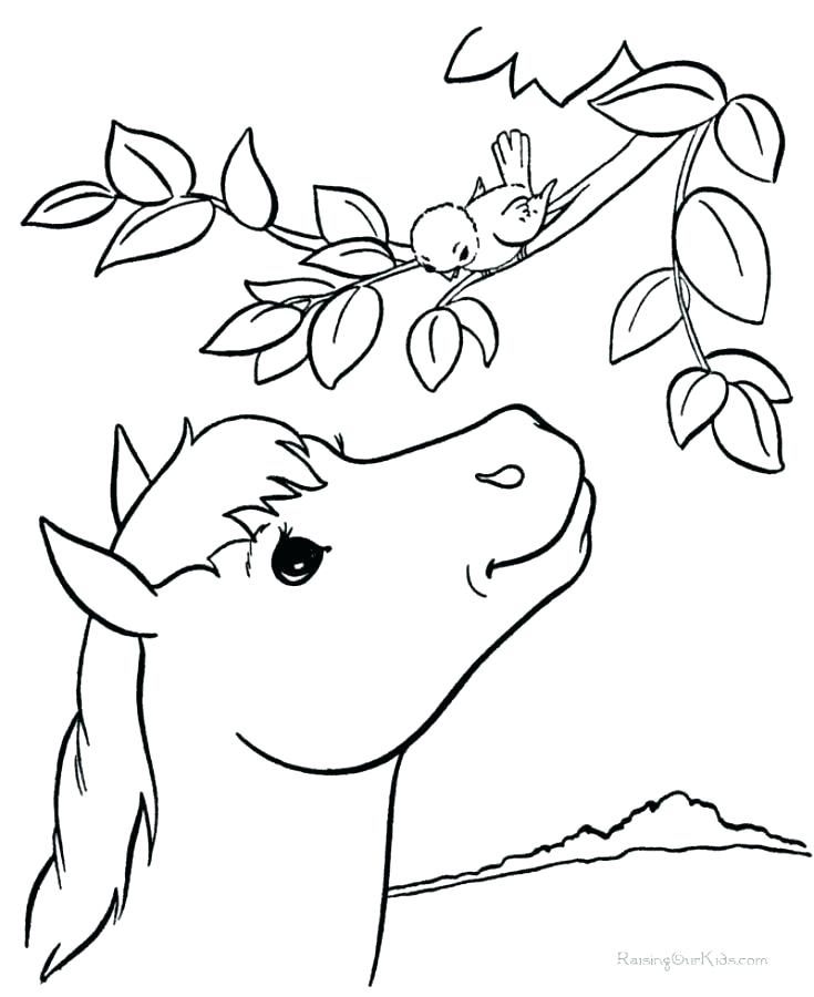 735x900 Horse Printable Coloring Pages Horse Coloring Pictures Free