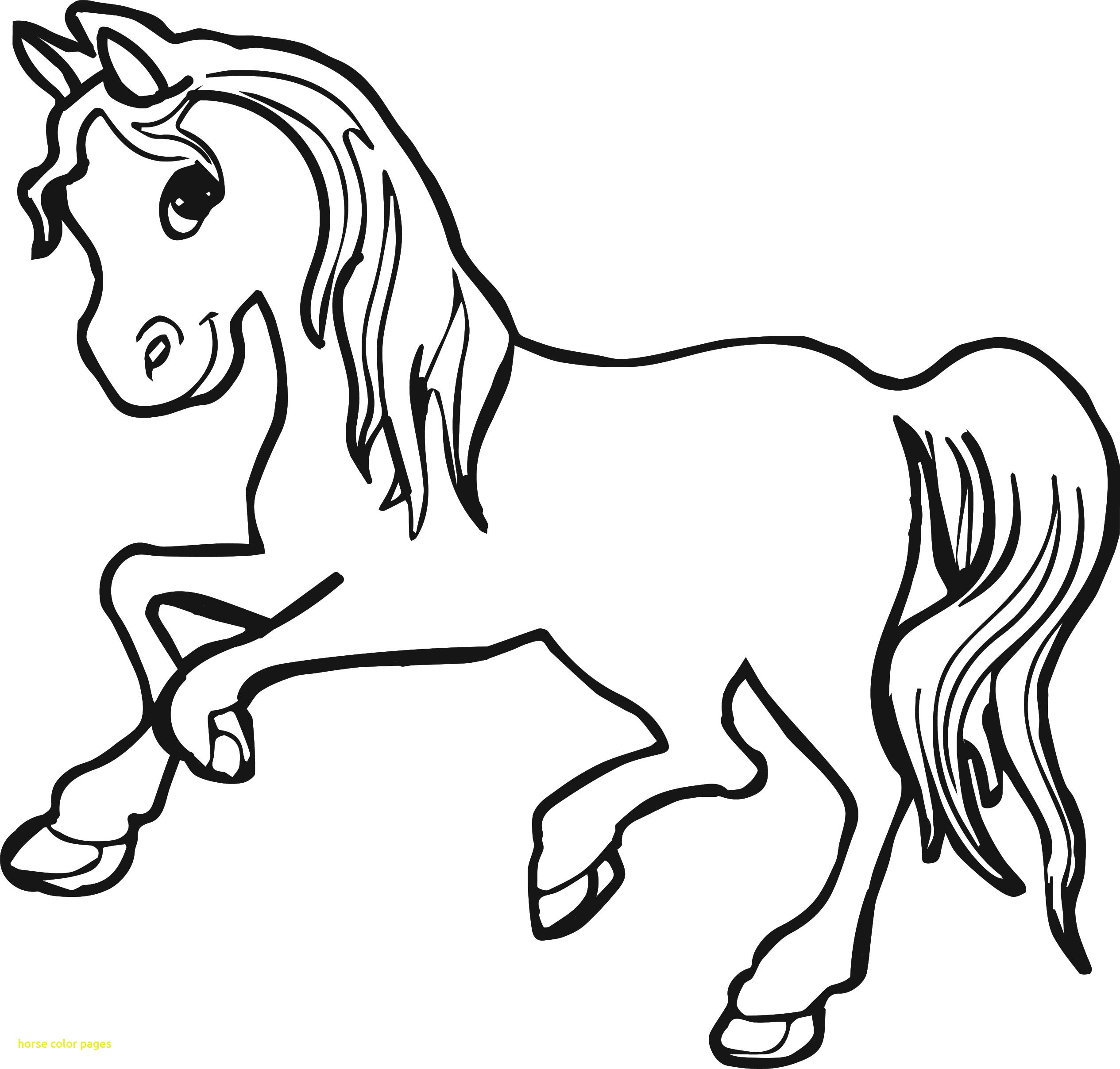 2530x2416 Horses Coloring Pages Of Horse Printable General Look Real