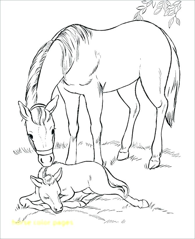 670x820 Printable Horse Coloring Pages For Kids Free Printable Coloring