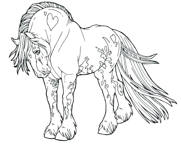 610x504 Carousel Horse Coloring Pages Horse Pages To Color Coloring Pages