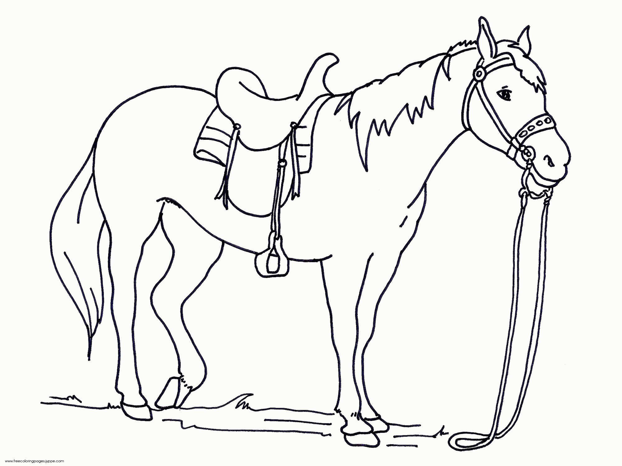 2000x1500 Coloring Pages Of Real Horses New Free Copy Printable Realistic