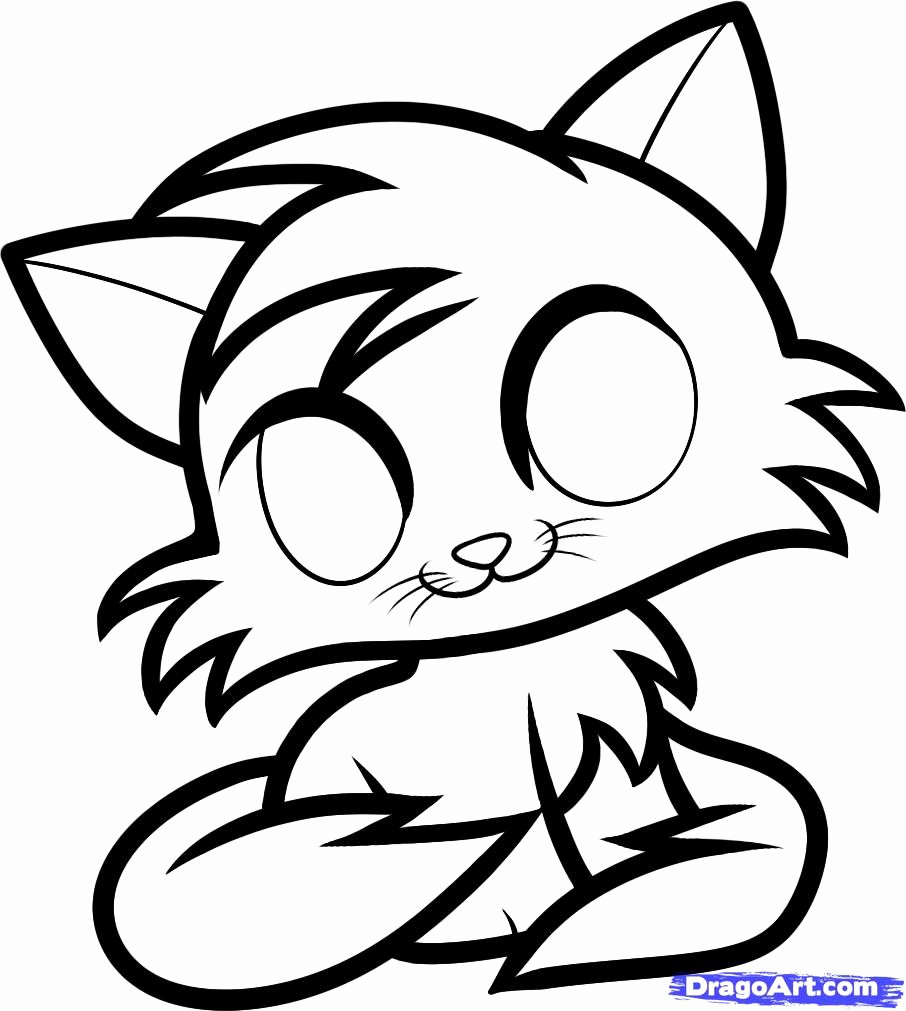 906x1011 Cute Kitten Coloring Pages To Print Google Search Realistic Cat
