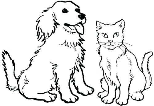 500x344 Kitten Coloring Page Cute Kitten Coloring Pages Cat And Kitten