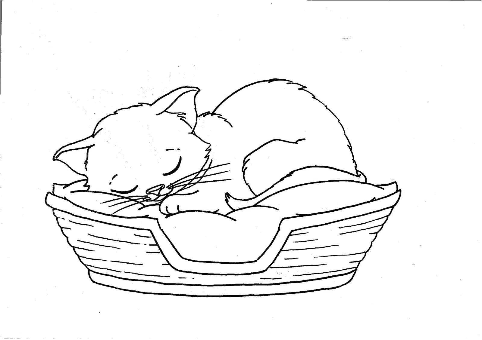 1600x1131 Coloring Page ~ Cute Kitten Coloring Pages Perfect Pictures
