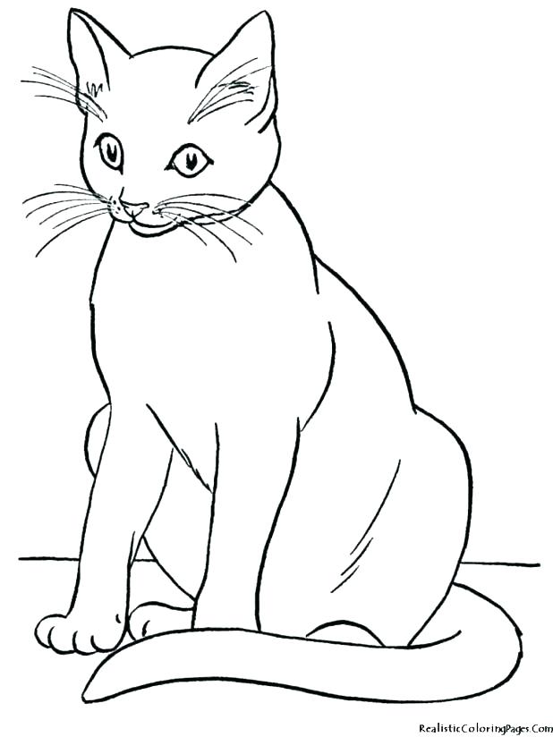 618x824 Coloring Page Kitten Coloring Page Kitten Astonishing Coloring