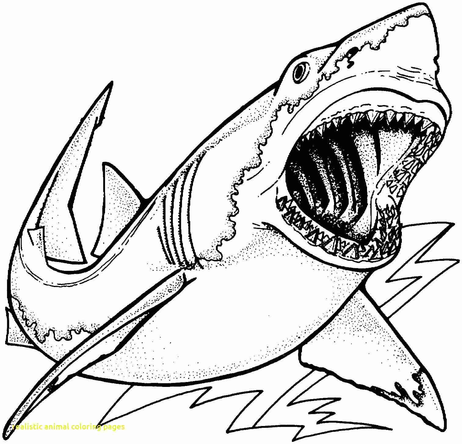 1513x1454 Ocean Animals Coloring Pages Sea Life Presented Brilliant