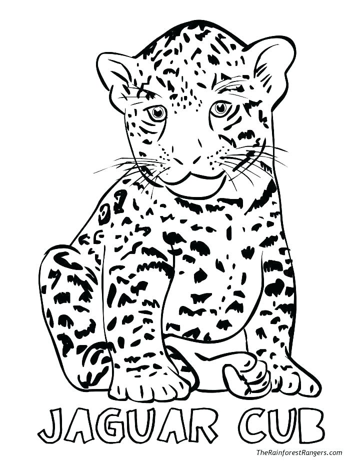 728x942 Realistic Animal Coloring Pages Free Coloring Realistic Coloring