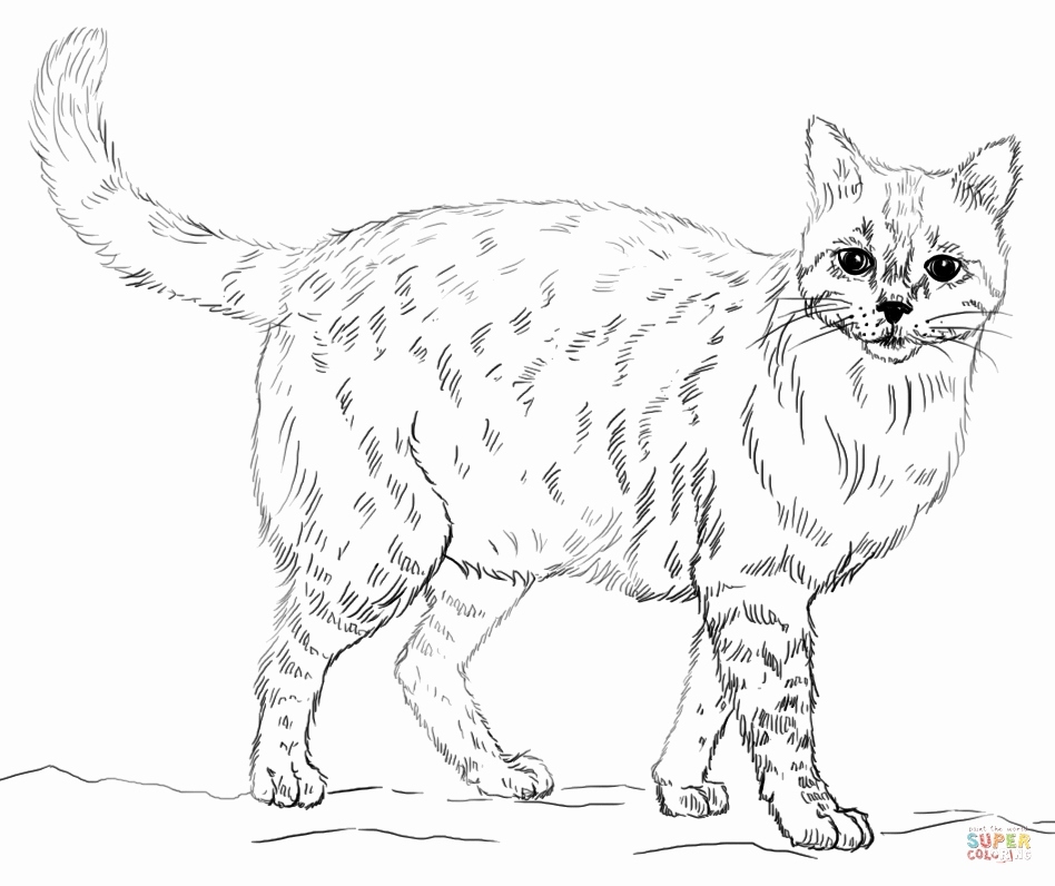 Realistic Animal Coloring Pages Free Printable Realistic Animal 948x796 Realistic Animal Coloring Pages Free Printable Realistic Animal