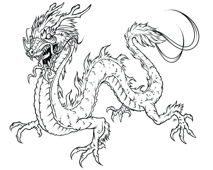 Realistic Coloring Pages Of Animals Realistic Animal Coloring 728x582 Realistic Coloring Pages Of Animals Realistic Animal Coloring