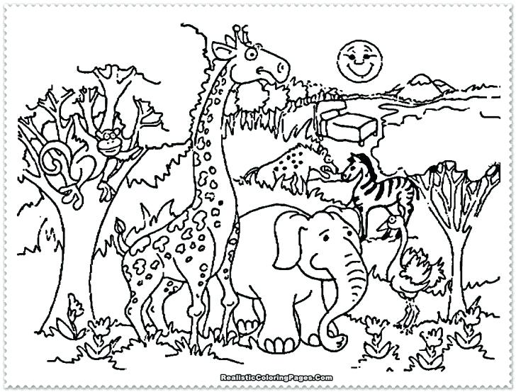 Safari Animals Coloring Pages Printable Pictures Ostrich Runs 728x553 Safari Animals Coloring Pages Printable Pictures Ostrich Runs