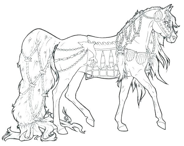 Real Animal Coloring Pages Professional 600x476 Real Animal Coloring Pages Professional