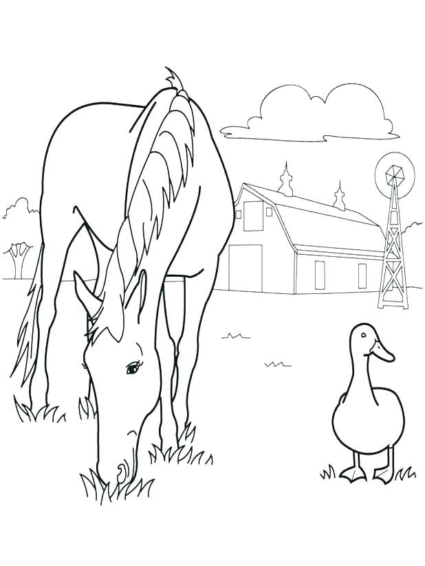 Coloring Pages Of Farm Animals Realistic Animal Coloring Pages 618x824 Coloring Pages Of Farm Animals Realistic Animal Coloring Pages
