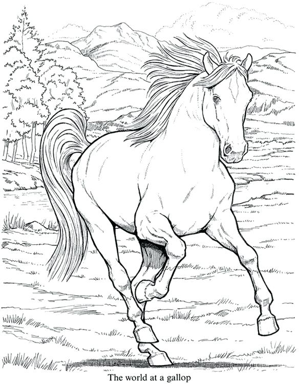 Cool Animal Coloring Pages Realistic Animal Coloring Pages Hard 584x750 Cool Animal Coloring Pages Realistic Animal Coloring Pages Hard