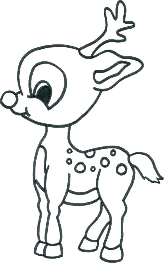 Animal Coloring Pages Animal Coloring Pages Baby Animal Coloring 560x900 Animal Coloring Pages Animal Coloring Pages Baby Animal Coloring