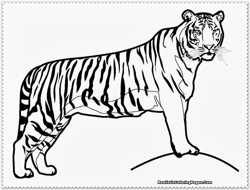 Cool Download Masha And The Bear Coloring Pages For Your Kids 1066x810 Cool Download Masha And The Bear Coloring Pages For Your Kids