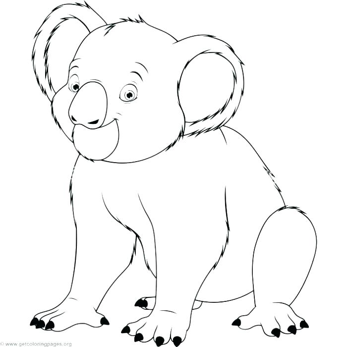 Koala Bear Coloring Pages Koala Coloring Page Realistic Koala 700x700 Koala Bear Coloring Pages Koala Coloring Page Realistic Koala