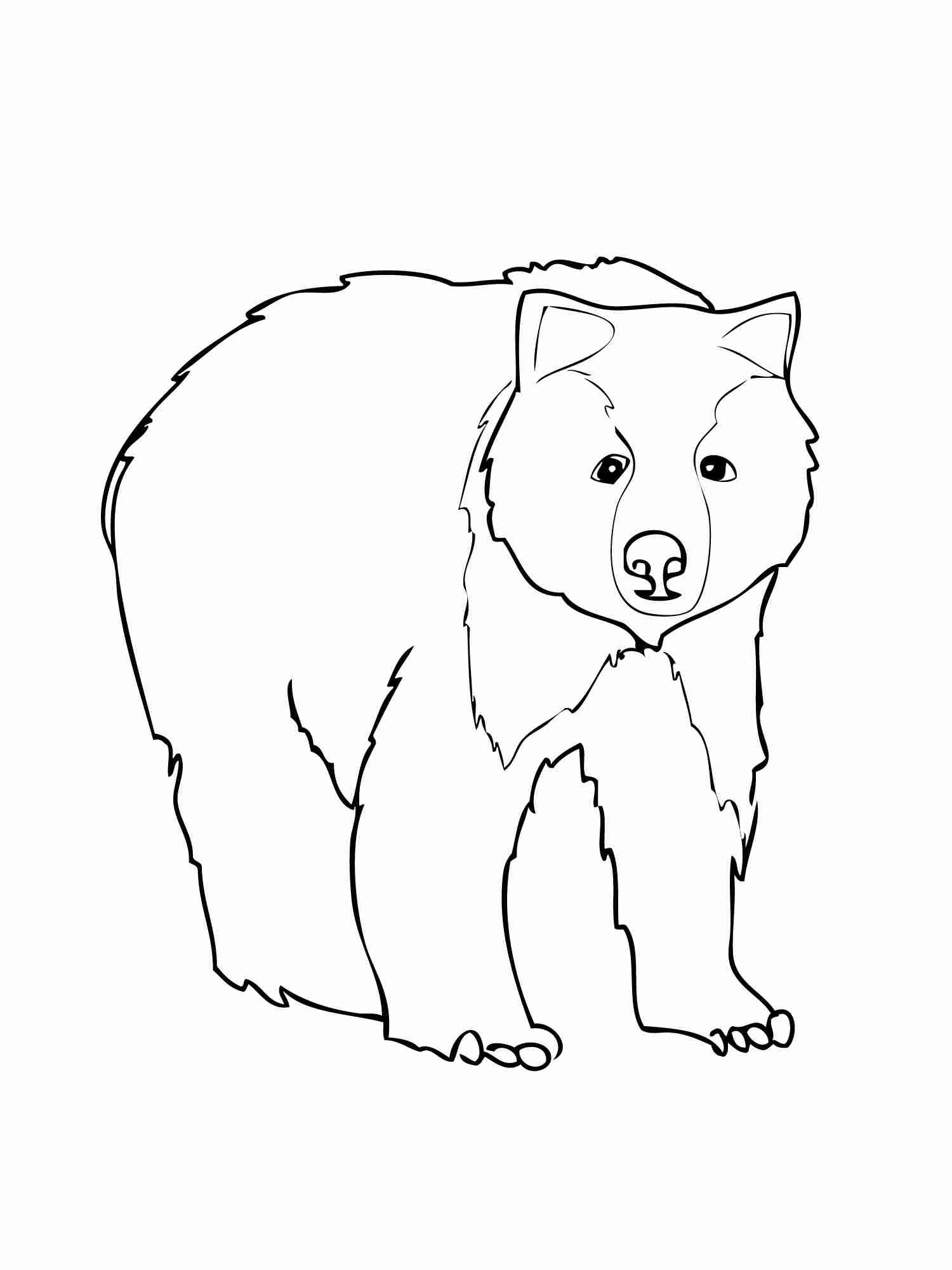 Realistic American Black Bear Coloring Page Free Printable Bright 1500x2000 Realistic American Black Bear Coloring Page Free Printable Bright