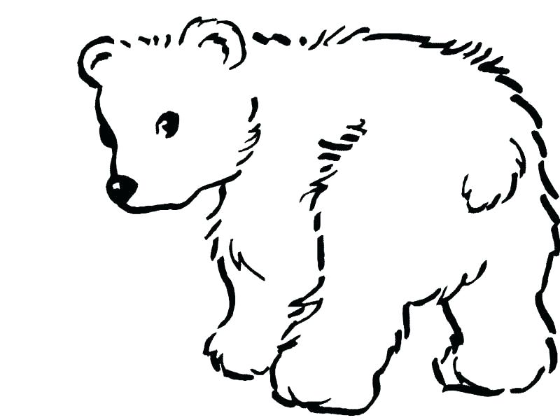 Shepherd Coloring Pages Printable Shepherd Coloring Pages 800x600 Shepherd Coloring Pages Printable Shepherd Coloring Pages