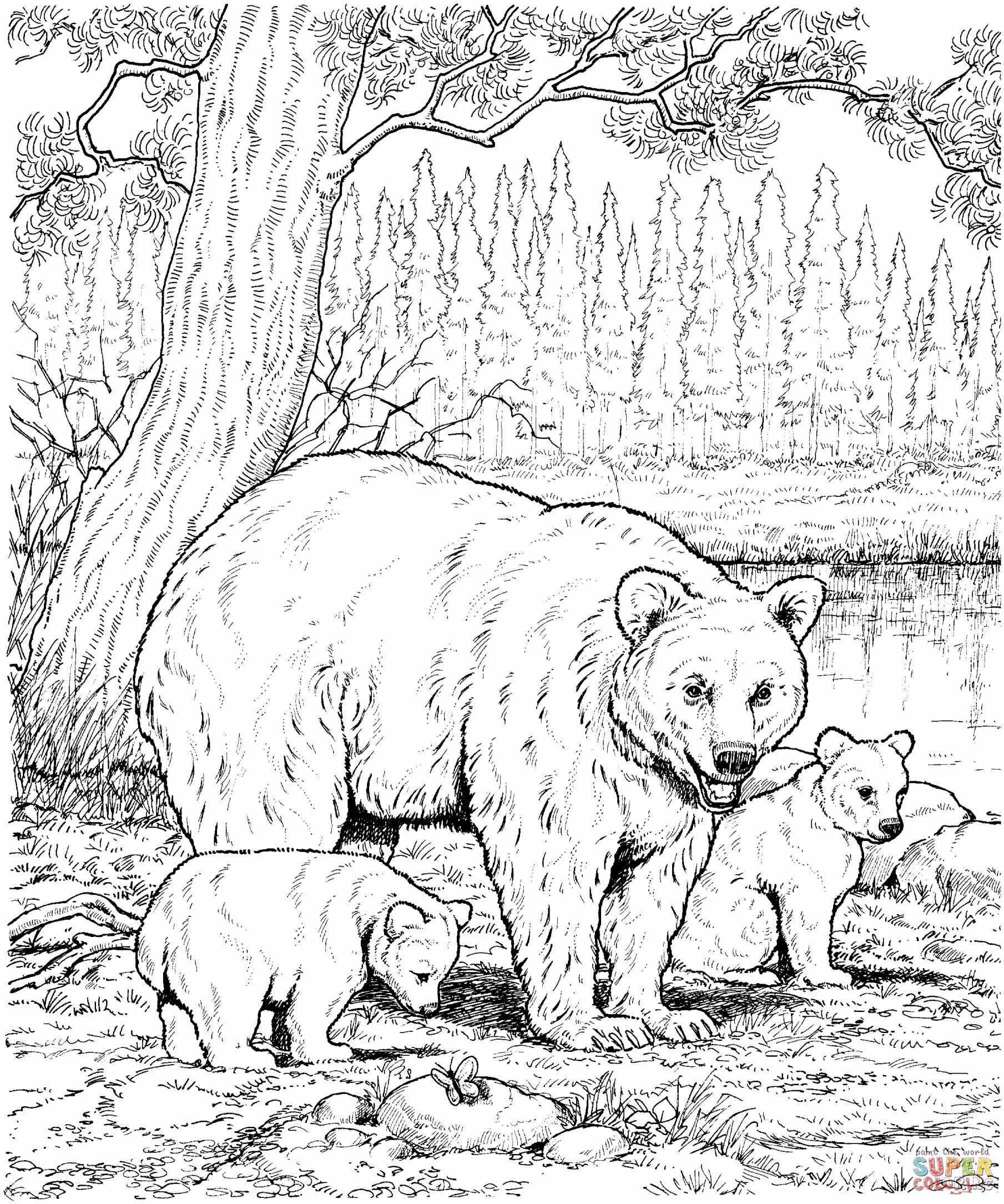 Hard Animal Pattern Getcoloringpagescom Hard Hard Coloring 1809x2169 Hard Animal Pattern Getcoloringpagescom Hard Hard Coloring