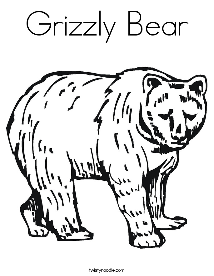 Bear Coloring Pages Images And Printable Templates 685x886 Bear Coloring Pages Images And Printable Templates