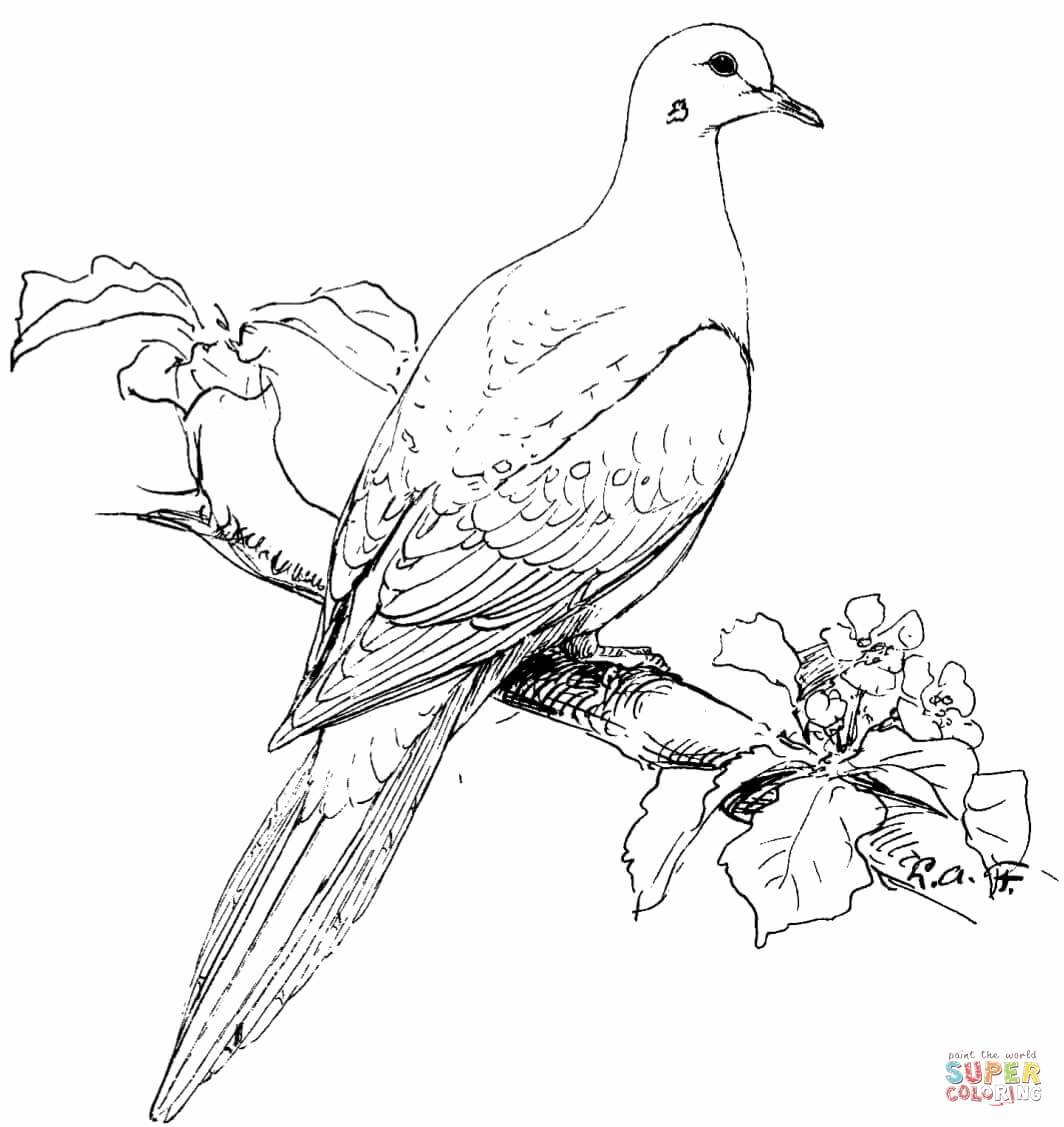 Printable Bird Coloring Pages Pictures Bird Coloring Pages Free 1064x1127 Printable Bird Coloring Pages Pictures Bird Coloring Pages Free