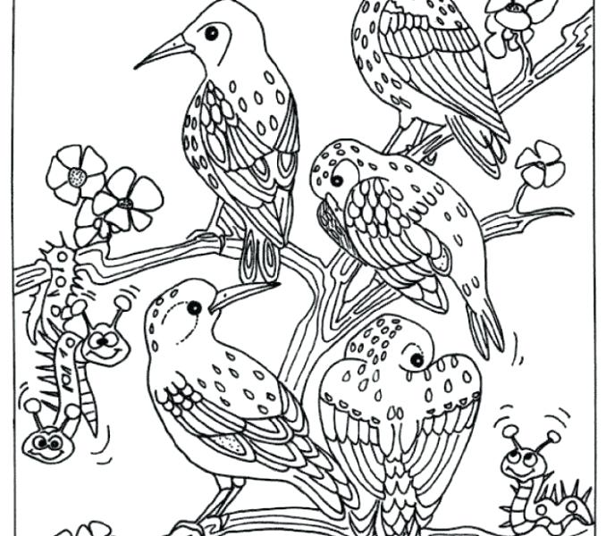 Birds Coloring Pages Realistic Bird Coloring Pages Colouring 678x600 Birds Coloring Pages Realistic Bird Coloring Pages Colouring