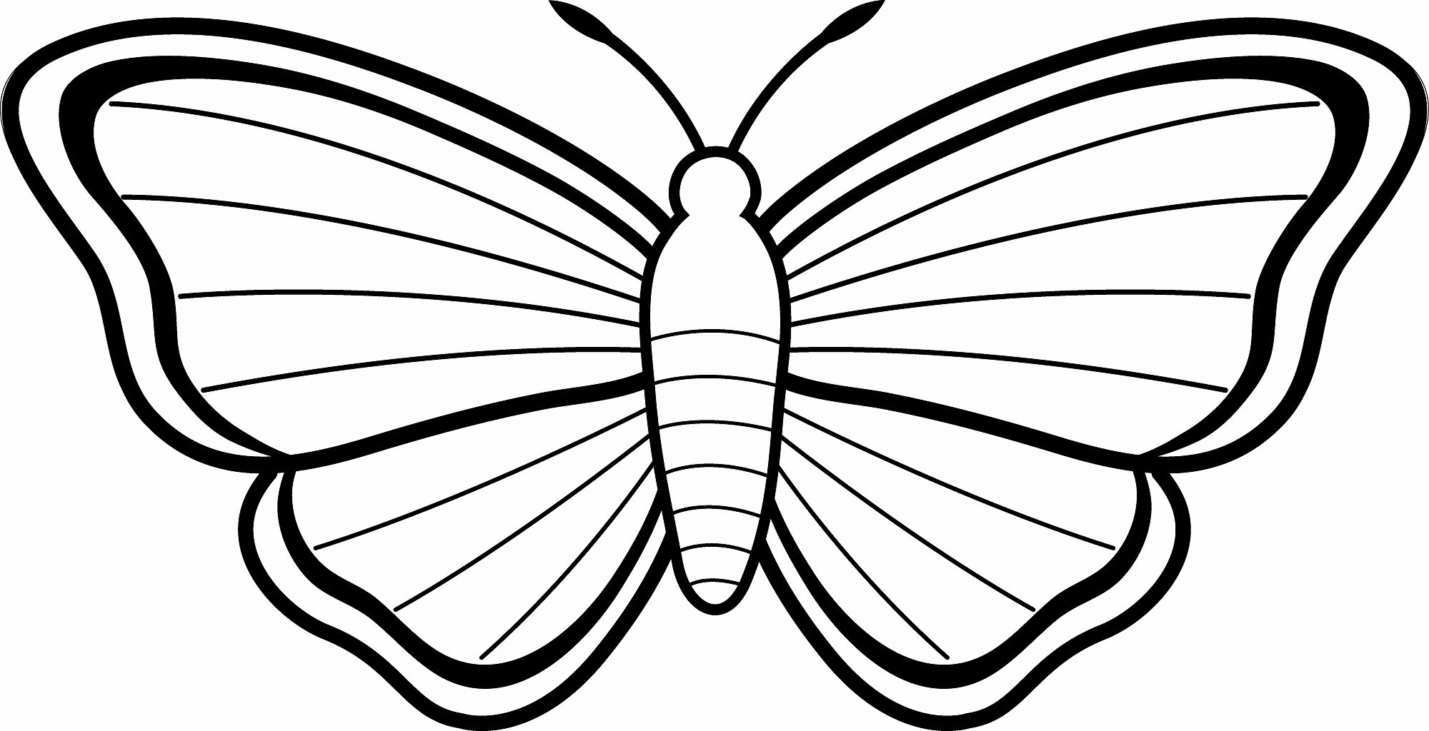 Coloring Pages Sea Animals Realistic Butterfly Coloring Pages 2000x1024 Coloring Pages Sea Animals Realistic Butterfly Coloring Pages