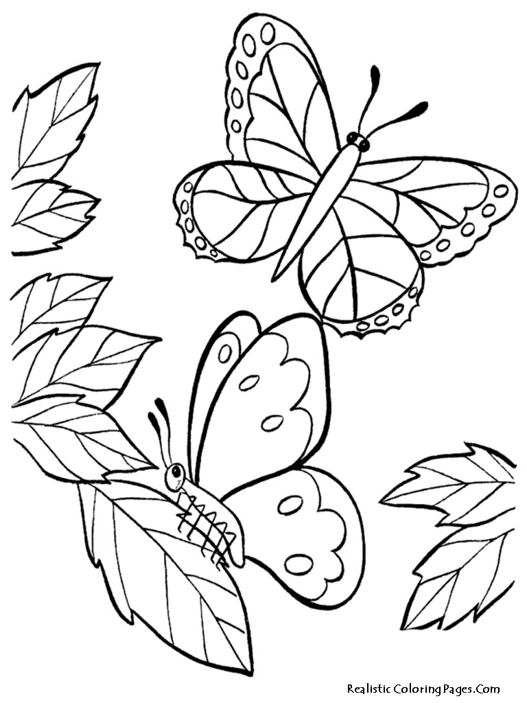 Cute Butterfly Coloring Pages 768x1024 Cute Butterfly Coloring Pages