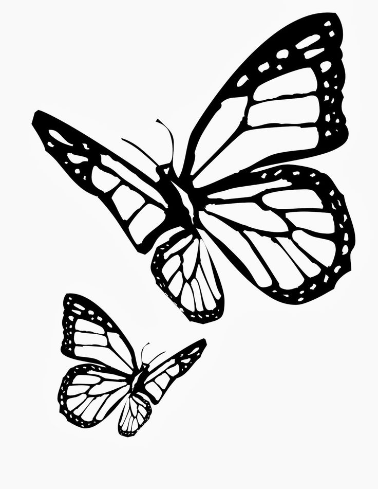 Monarch Butterfly Clipart Two 736x951 Monarch Butterfly Clipart Two