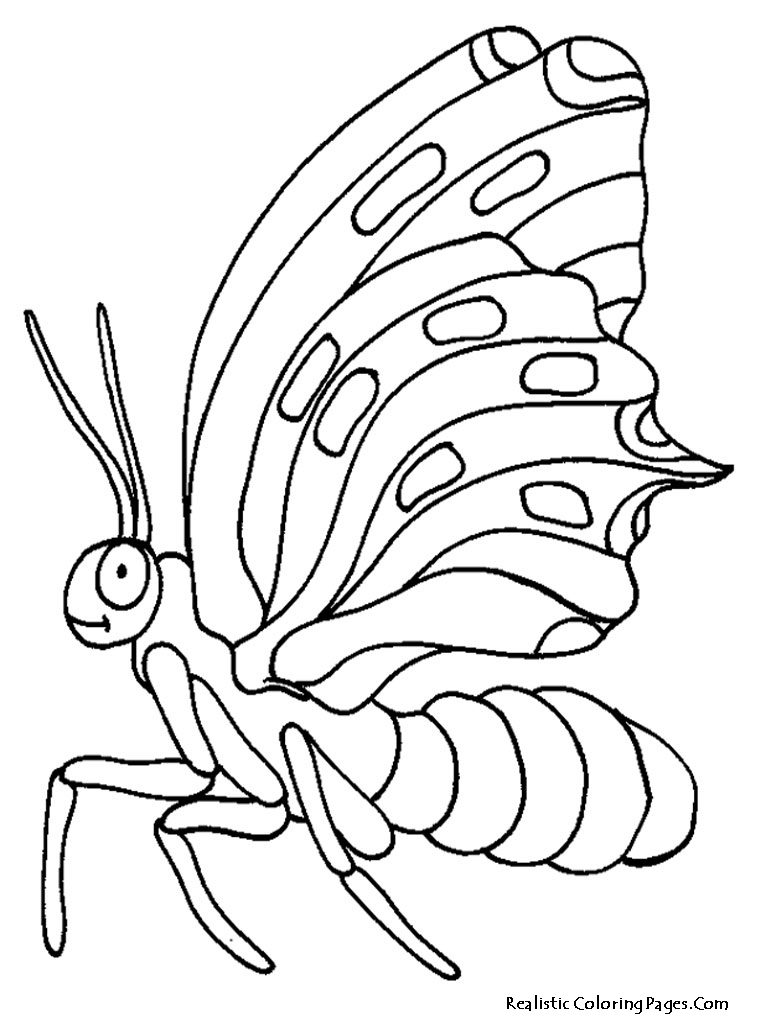 Realistic Butterfly Coloring Pages Realistic Coloring Pages 768x1024 Realistic Butterfly Coloring Pages Realistic Coloring Pages