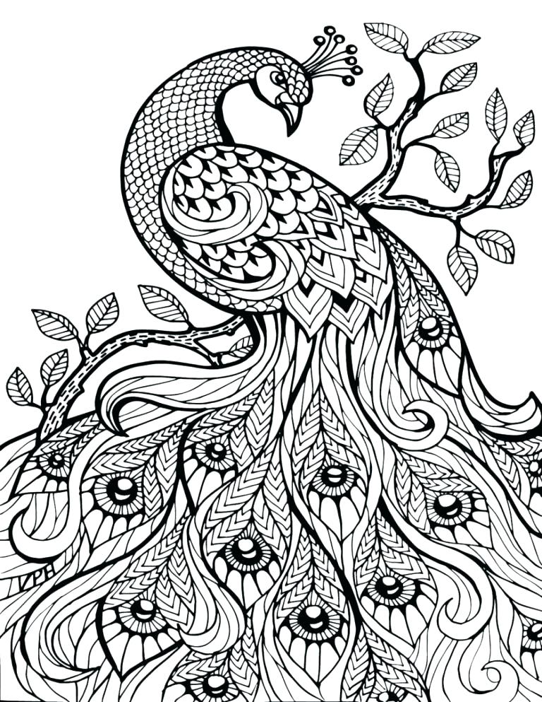 Realistic Fairy Coloring Pages Fairy Coloring Pages In Addition 768x993 Realistic Fairy Coloring Pages Fairy Coloring Pages In Addition