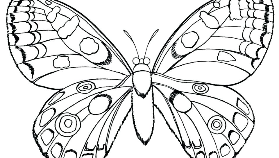 Butterfly Coloring Pages Printable 960x544 Butterfly Coloring Pages Printable