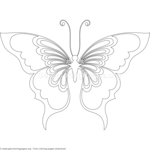 Realistic Butterfly Coloring Pages 520x520 Realistic Butterfly Coloring Pages