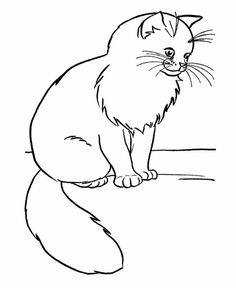 Realistic Cat Coloring Pages at GetColorings.com | Free printable ...