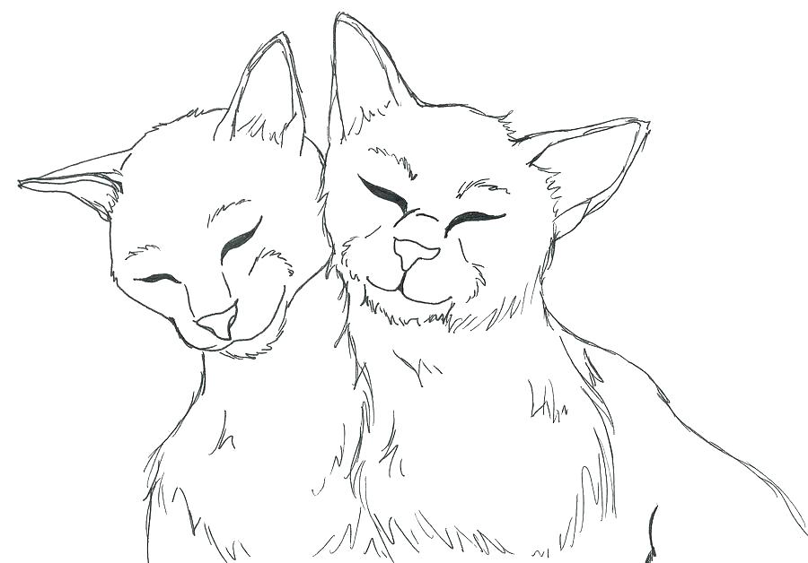 900x628 Realistic Cat Coloring Pages