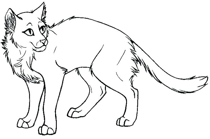 736x487 Realistic Cat Colouring Pages