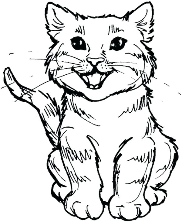 600x731 Cat Coloring Page X Realistic Cat Coloring Pages Printable Www