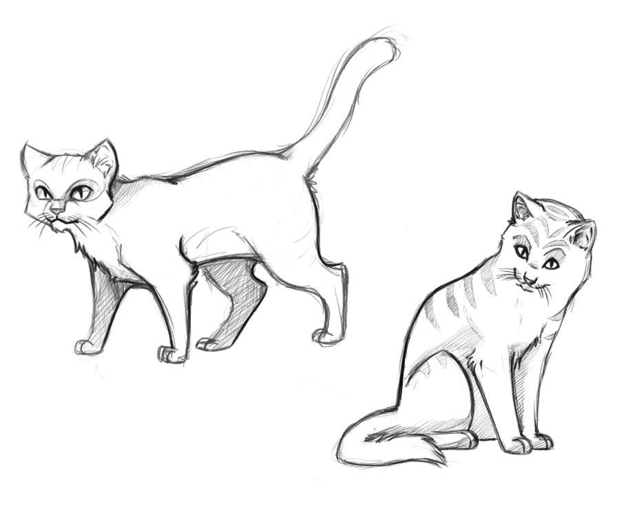 909x761 Free Printable Cat Coloring Pages For Kids