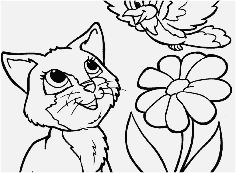 827x609 The Ideal Graphic Realistic Cat Coloring Pages The Latest