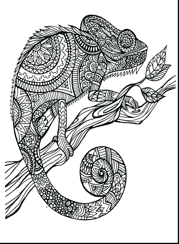 618x844 Realistic Coloring Pages Of Animals Free Coloring Pages Animals