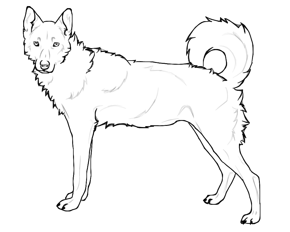 1000x800 Husky Clipart Realistic Dog Pencil And In Download Free Printable