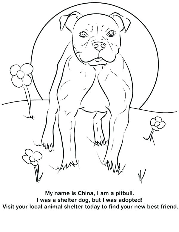 600x776 Realistic Dog Coloring Pages Realistic Dog Coloring Pages Coloring