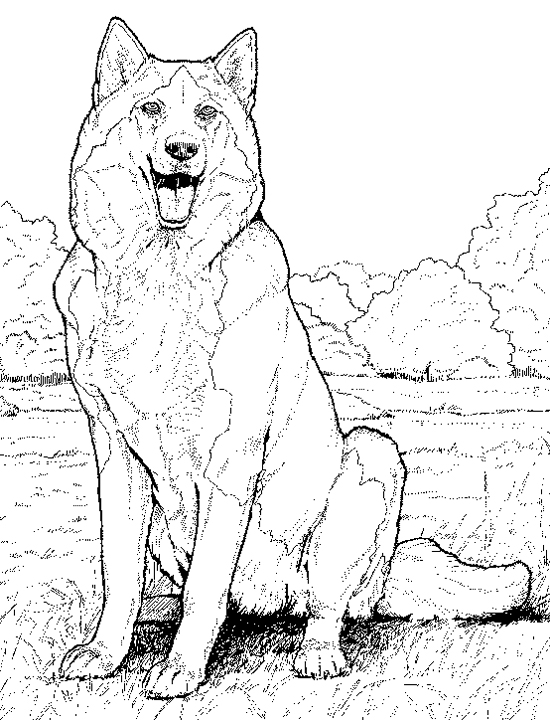 550x720 Realistic Dog Coloring Pages 2 Realistic Dog Coloring Pages