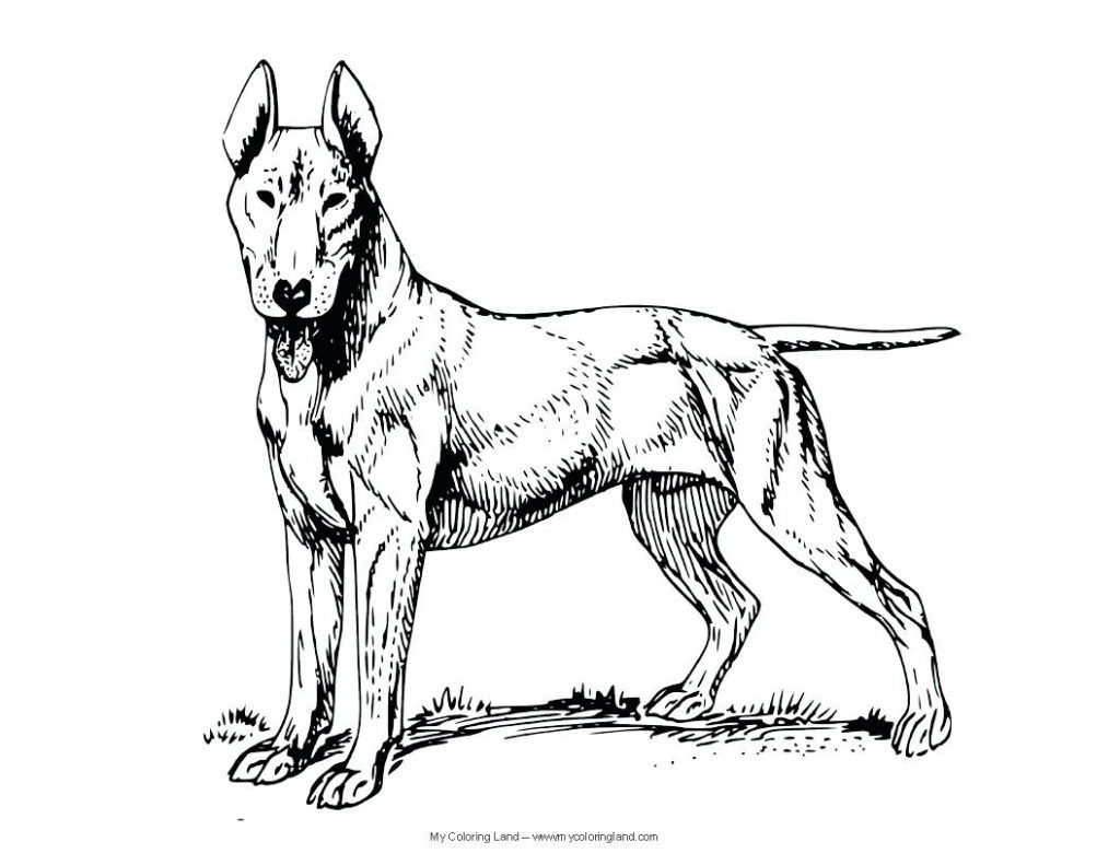 1024x791 Coloring Page ~ Coloring Pages Dog Realistic For Kids And Cat