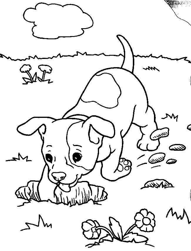 650x856 Printable 30 Realistic Dog Coloring Pages 4609 Real Dog Coloring