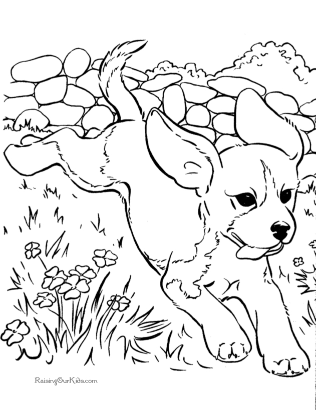 631x820 Dog Coloring Page Beautiful Realistic Coloring Pages Dogs Logo